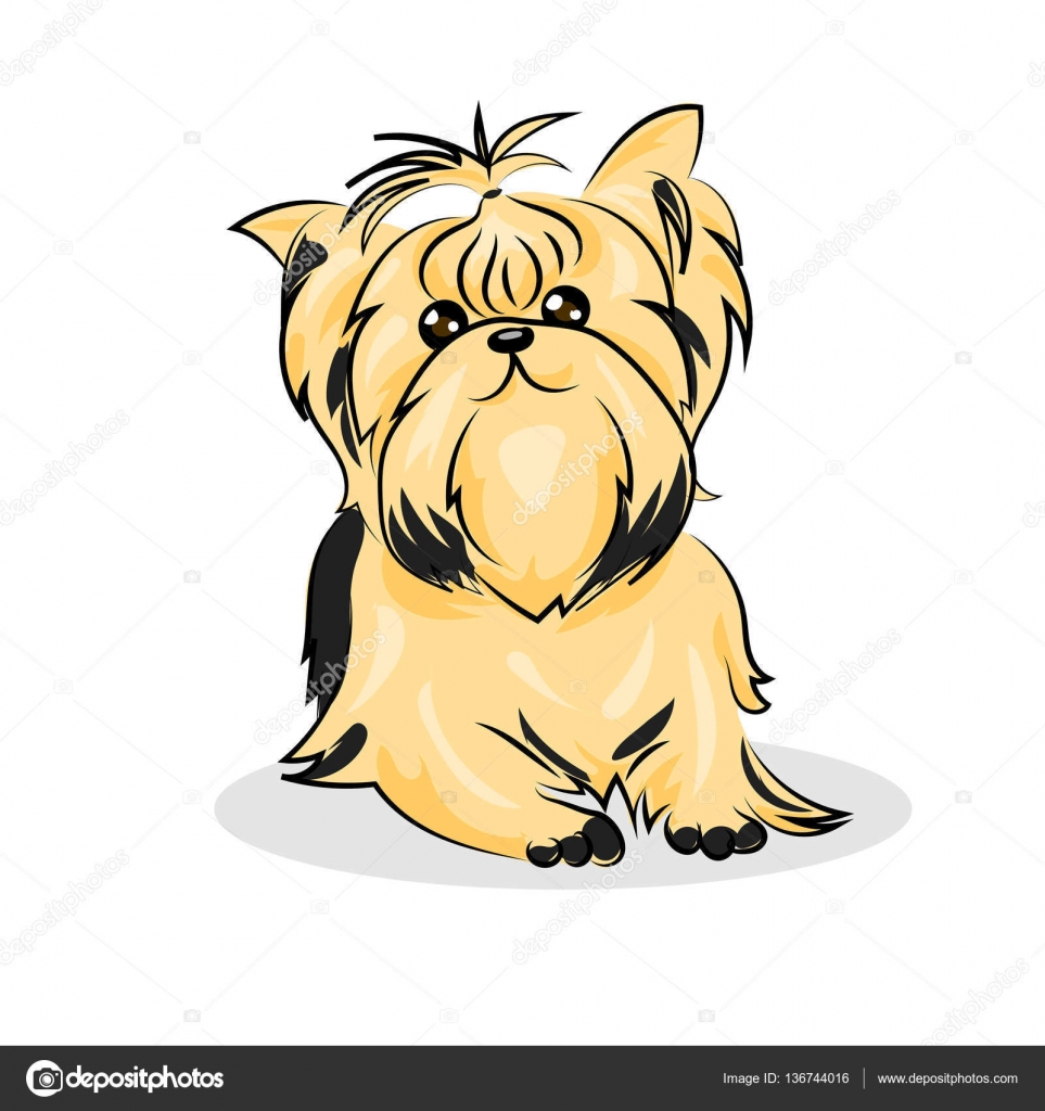かわいい動物画像 これまでで最高のヨークシャーテリア イラスト 無料 かわいい動物画像 これまでで最高のヨークシャーテリア イラスト 無料