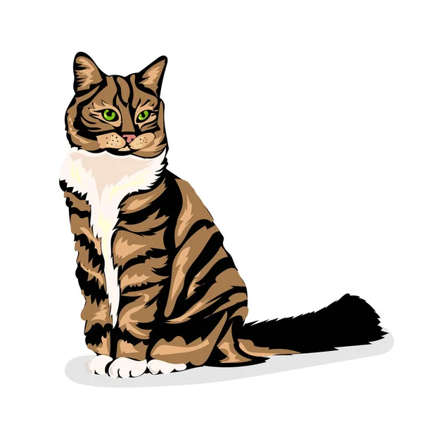 Mignon dessin animé vecteur chat coloré à l'arrière-plan blanc — Image vectorielle