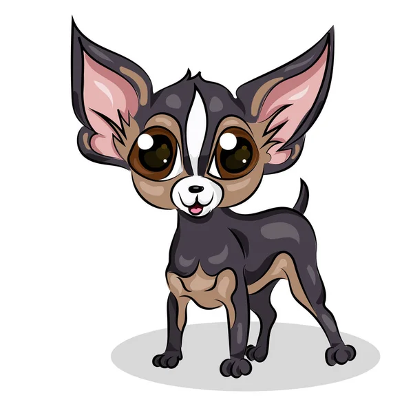 Desenho animado bonito engraçado vetor chihuahua cão no fundo branco —  Vetores de Stock