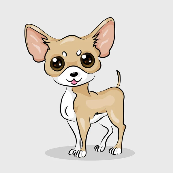 Cartoon niedliche lustige Vektor-Chihuahua-Hund auf dem weißen Hintergrund — Stockvektor