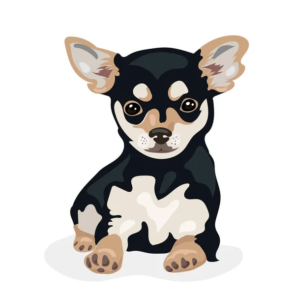 การ์ตูนน่ารักตลกเวกเตอร์ Chihuahua หมาในพื้นหลังสีขาว — ภาพเวกเตอร์สต็อก