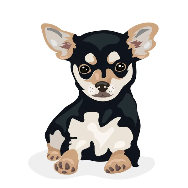 Dibujos animados lindo divertido vector chihuahua perro en el fondo blanco — Vector de stock