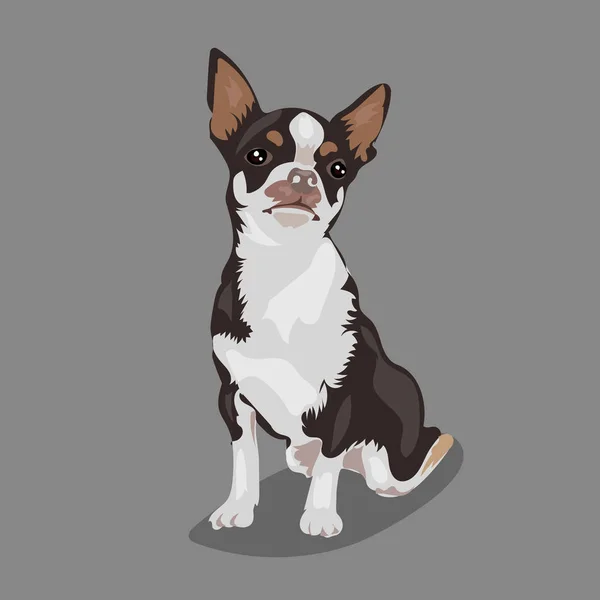Pes chihuahua roztomilý funny vektor kreslené na bílém pozadí — Stockový vektor