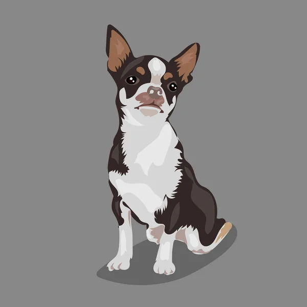 Dessin animé mignon drôle vecteur chihuahua chien à l'arrière-plan blanc — Image vectorielle