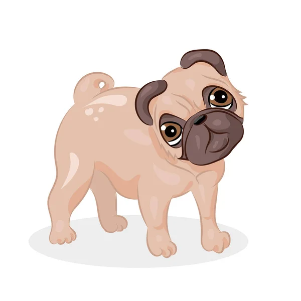 Dibujos animados lindo perro pug vector divertido en el fondo blanco — Archivo Imágenes Vectoriales