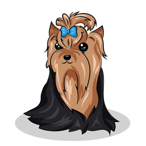 Dibujos animados lindo vector yorkshire terrier en el fondo blanco — Vector de stock