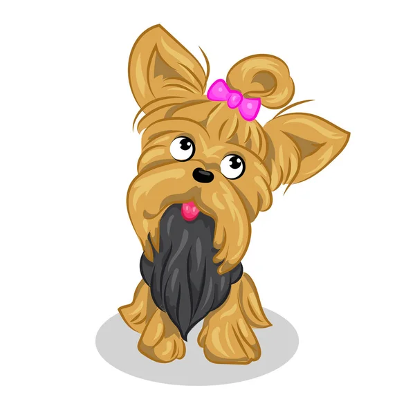 Dibujos animados lindo vector yorkshire terrier en el fondo blanco — Archivo Imágenes Vectoriales