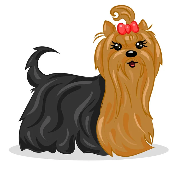 Dibujos animados lindo vector yorkshire terrier en el fondo blanco — Archivo Imágenes Vectoriales