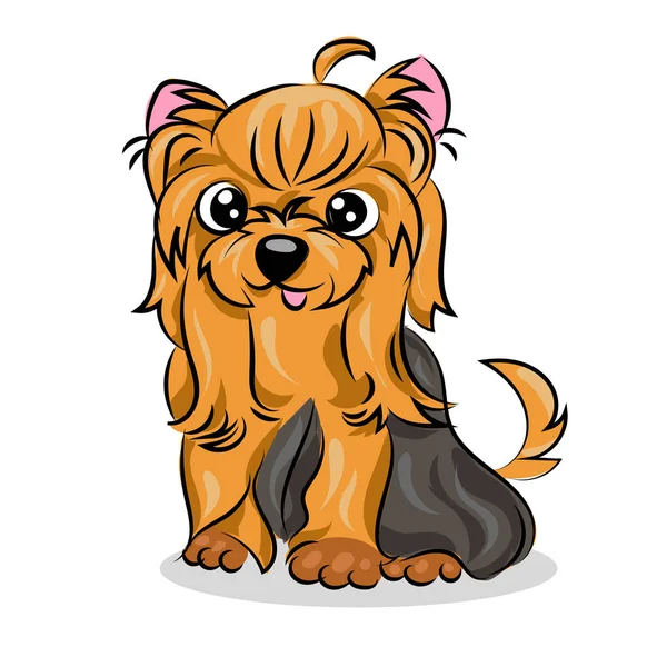 Desenho animado bonito vetor yorkshire terrier no fundo branco — Vetor de Stock