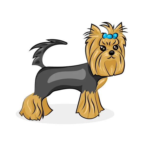 Dibujos animados lindo vector yorkshire terrier en el fondo blanco — Vector de stock