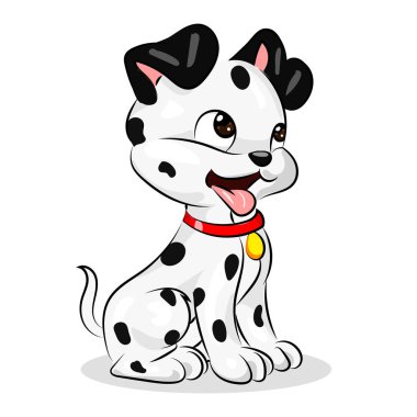 Beyaz arka plan Dalmaçyalı tatlı köpeğe