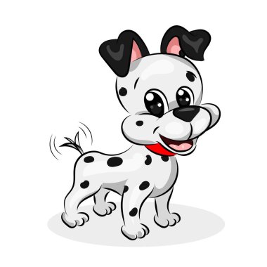 Beyaz arka plan Dalmaçyalı tatlı köpeğe
