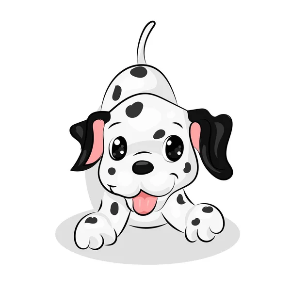 Dalmatian cute dog at the white background — Stock Vector