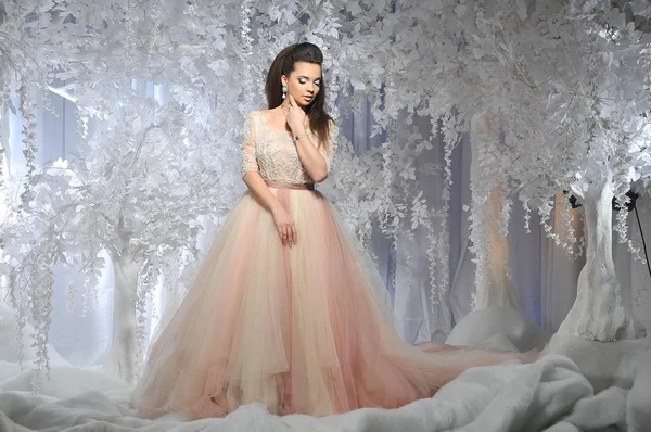 Beyaz ağaçlar kış arka plan ile uzun elbiseli güzel esmer model kız