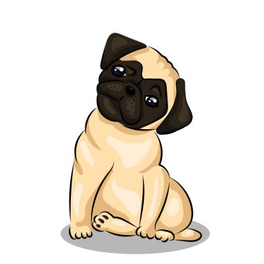 Pug köpek bebek