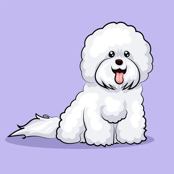 Branco "bichon frise" cão em um fundo de cor —  Vetores de Stock