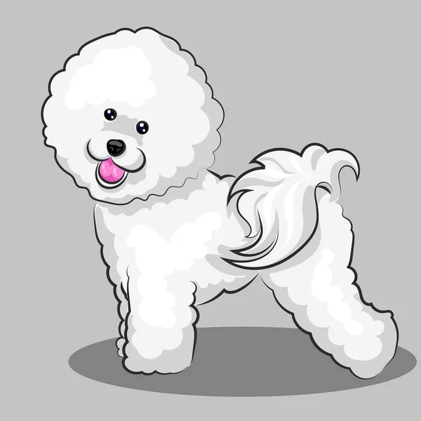 White "bichon frise" dog at one color background — Stock Vector