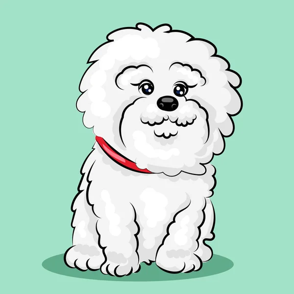 White "bichon frise" dog at one color background — Stock Vector