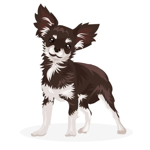 Chihuahua divertido perro pequeño — Vector de stock