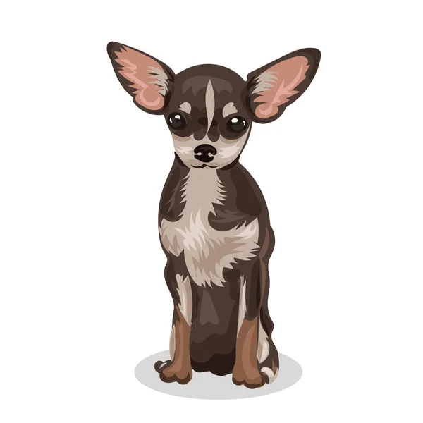 Chihuahua komik küçük köpek — Stok Vektör