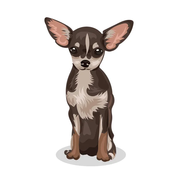 Chihuahua ตลกสุนัขตัวเล็ก — ภาพเวกเตอร์สต็อก