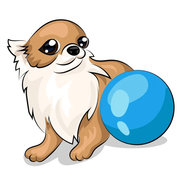 Chihuahua funny small dog — стоковый вектор