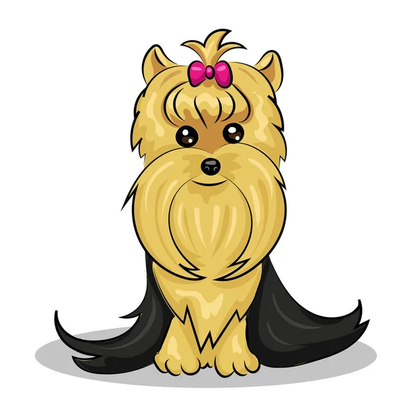 Yorkshire Terrier hund — Stock vektor