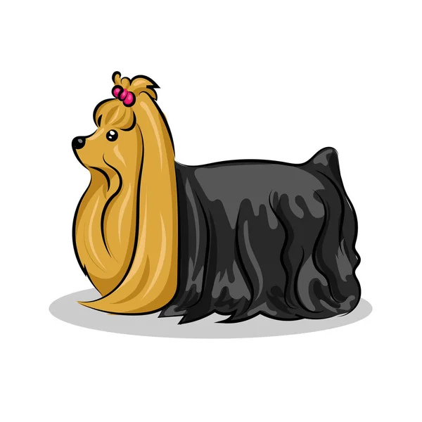 Yorkshire Terrier perro — Vector de stock