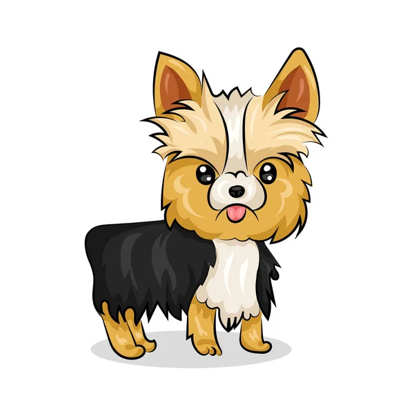 Yorkshire Terrier kutya — Stock Vector