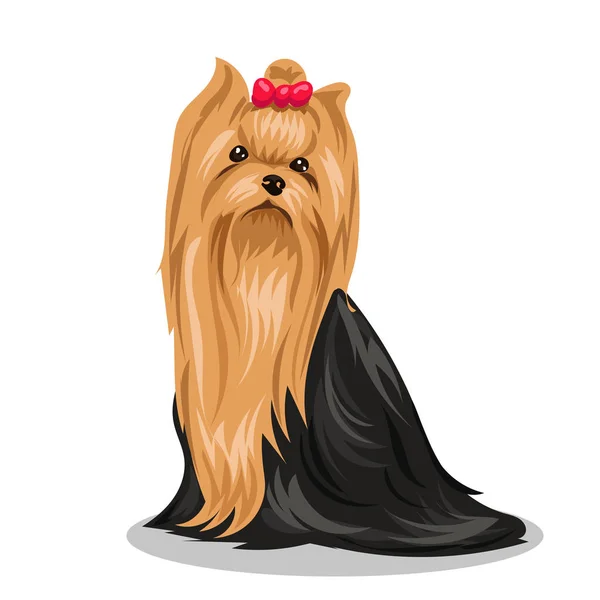 Yorkshire Terrier Hund — Stockvektor