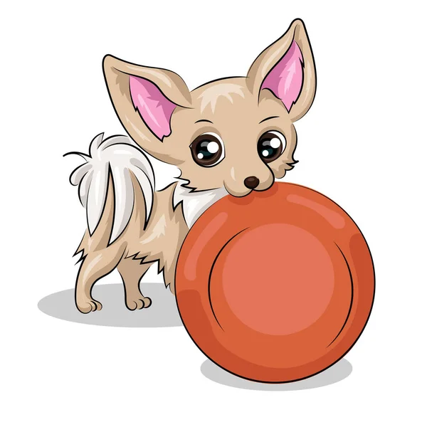Chihuahua dog isolated at the white background with red plate — ストックベクタ