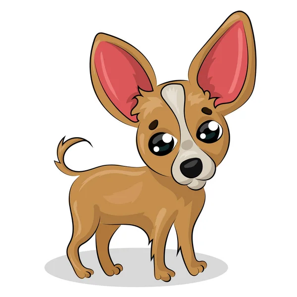 Chihuahua hund isolerad vid den vita bakgrunden — Stock vektor