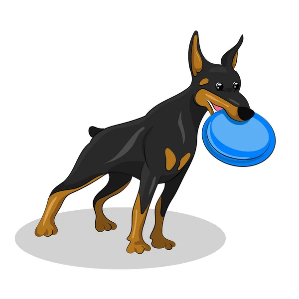 Pes doberman izolované a modré desky — Stockový vektor