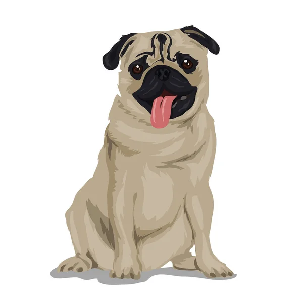 Dog pug isolated at the white background — ストックベクタ