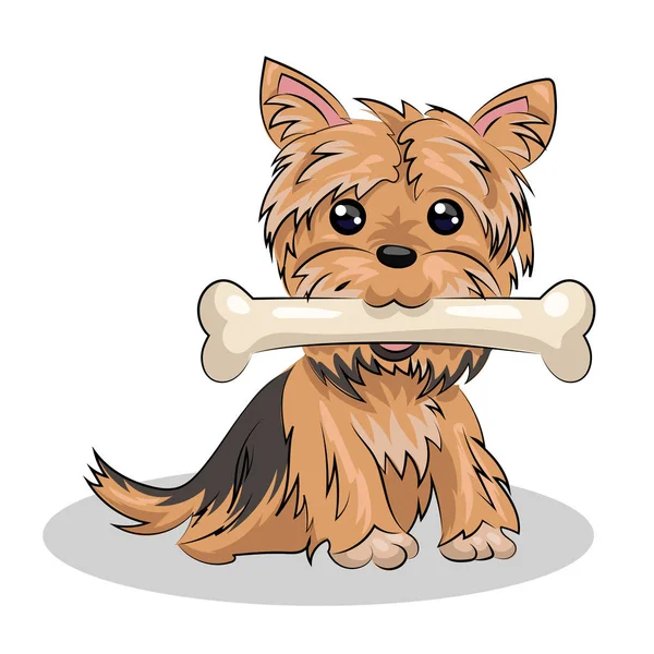 Dog yorkshire terrier with bone isolated at the white background — Stock Vector