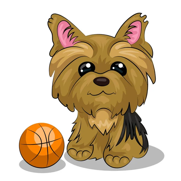 Perro yorkshire terrier con pelota de baloncesto naranja aislado en el fondo blanco — Vector de stock