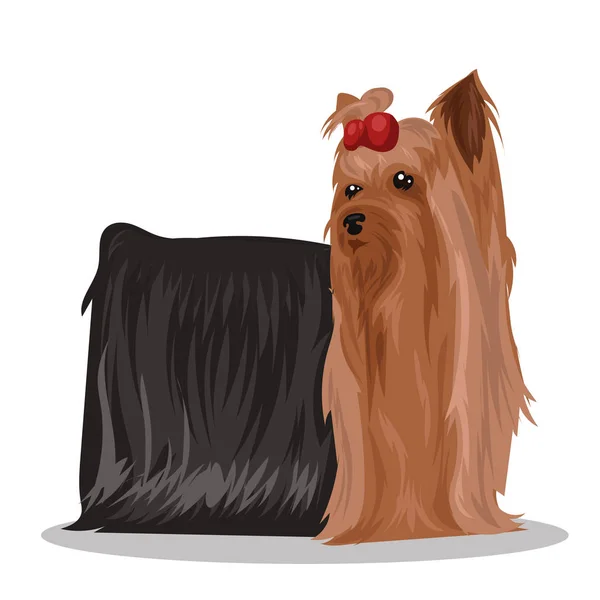 สุนัข Yorkshire Terrier กับธนูสีแดงแยกกันในพื้นหลังสีขาว — ภาพเวกเตอร์สต็อก