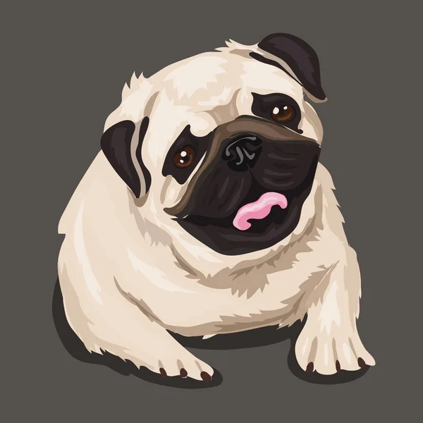 Dog pug isolated at the grey background — Stock Vector