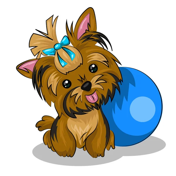 Dog yorkshire terrier with blue ball isolated at the white background — Stock Vector