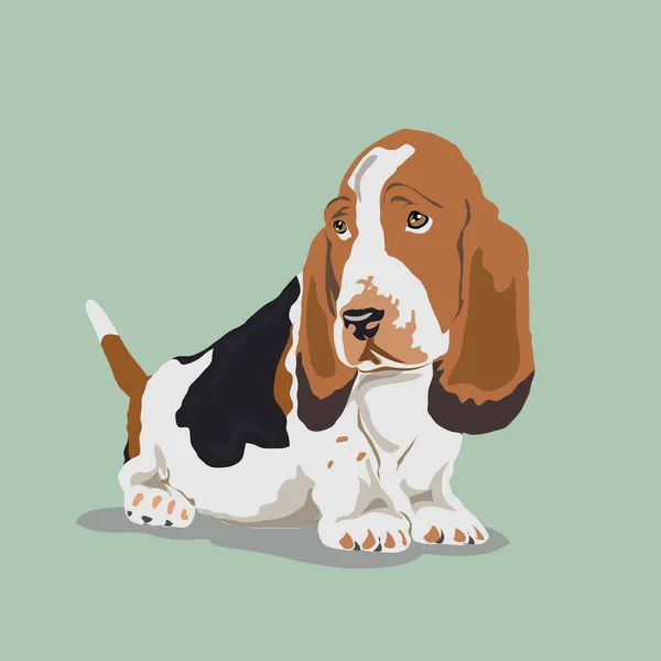 Basset Hound perro — Vector de stock