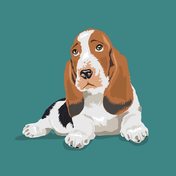 Basset Hound dog — Stock vektor