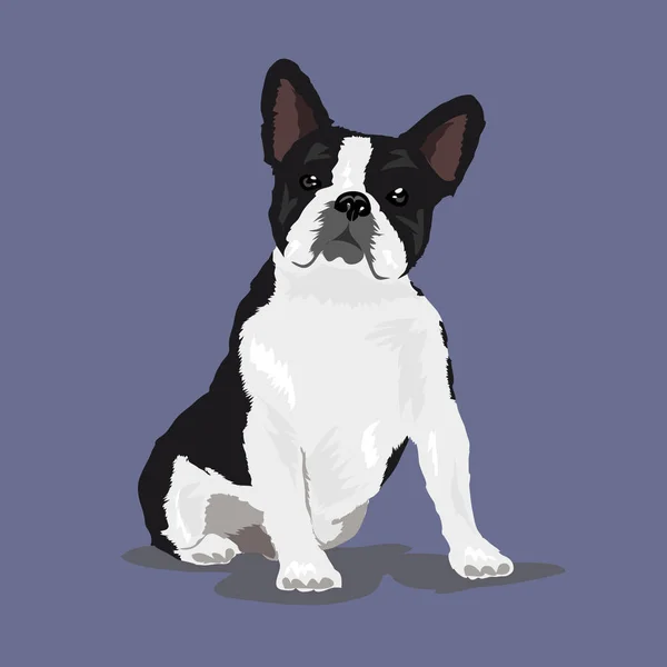 Pug perro blanco y negro en el fondo de color violeta — Vector de stock