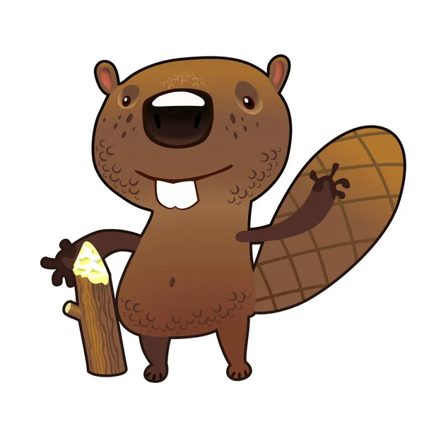 褐色的海狸，长着大牙齿和棕色的手杖 — 图库矢量图片