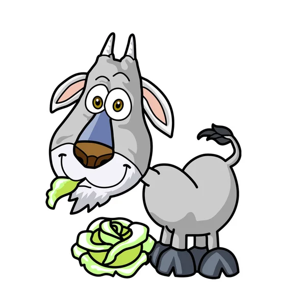 Сіра коза з рогами і зеленою капустою їсть — стоковий вектор