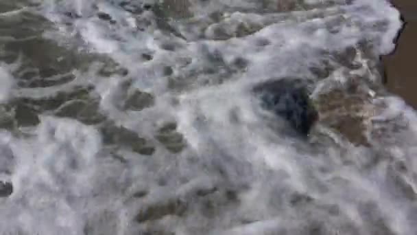 Волны выбросили медузу с моря на берег — стоковое видео
