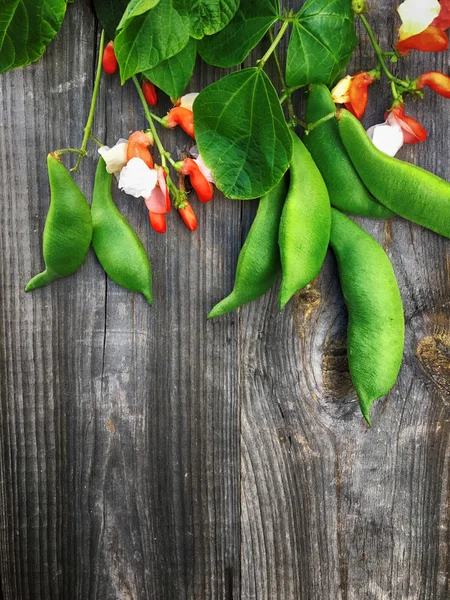 Ramo con baccello di fagioli, fiori, foglie verdi — Foto Stock
