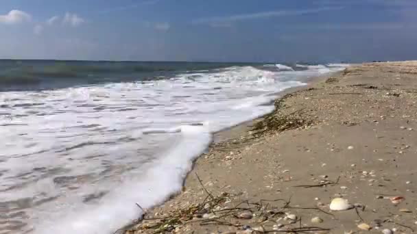 Seascape tarde, as crianças brincam no fundo, timelapse — Vídeo de Stock