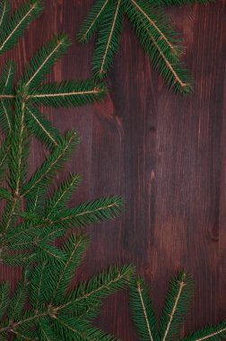 Ladin ahşap kahverengi arka plan üzerinde Şubesi