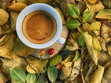fincan espresso düşen sarı yapraklar arasında ahşap kütük üzerinde