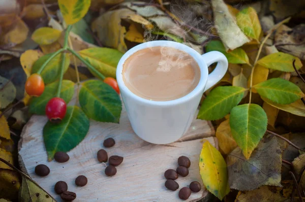 Taza de café espresso caliente entre hojas caídas bajo el sol — Foto de Stock